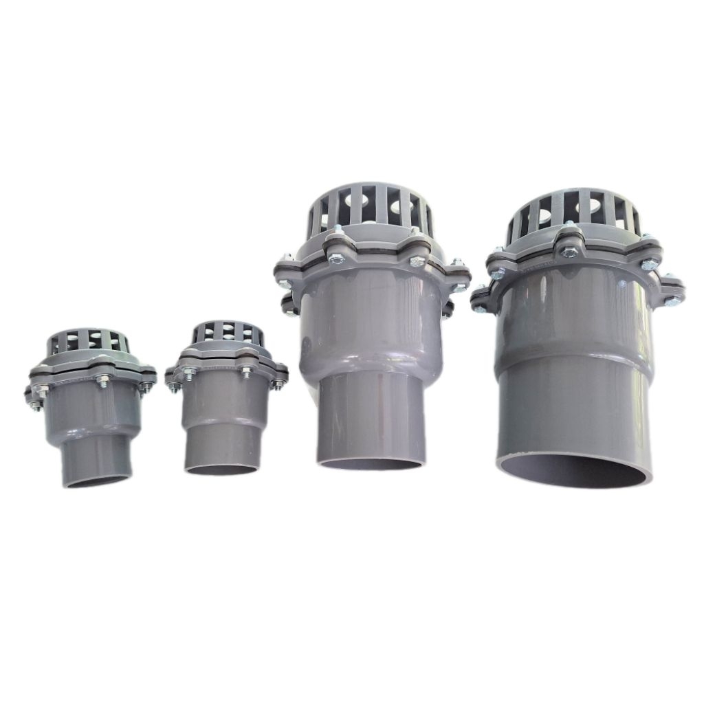 Luppe xám phi 49, 60, 90, 114 thương hiệu Đại Ánh Sáng