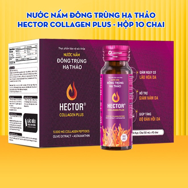 NƯỚC NẤM ĐÔNG TRÙNG HẠ THẢO HECTOR COLLAGEN PLUS (hộp 10 chai)