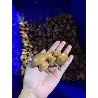Núm vén rèm cửa ( 2 chiếc)