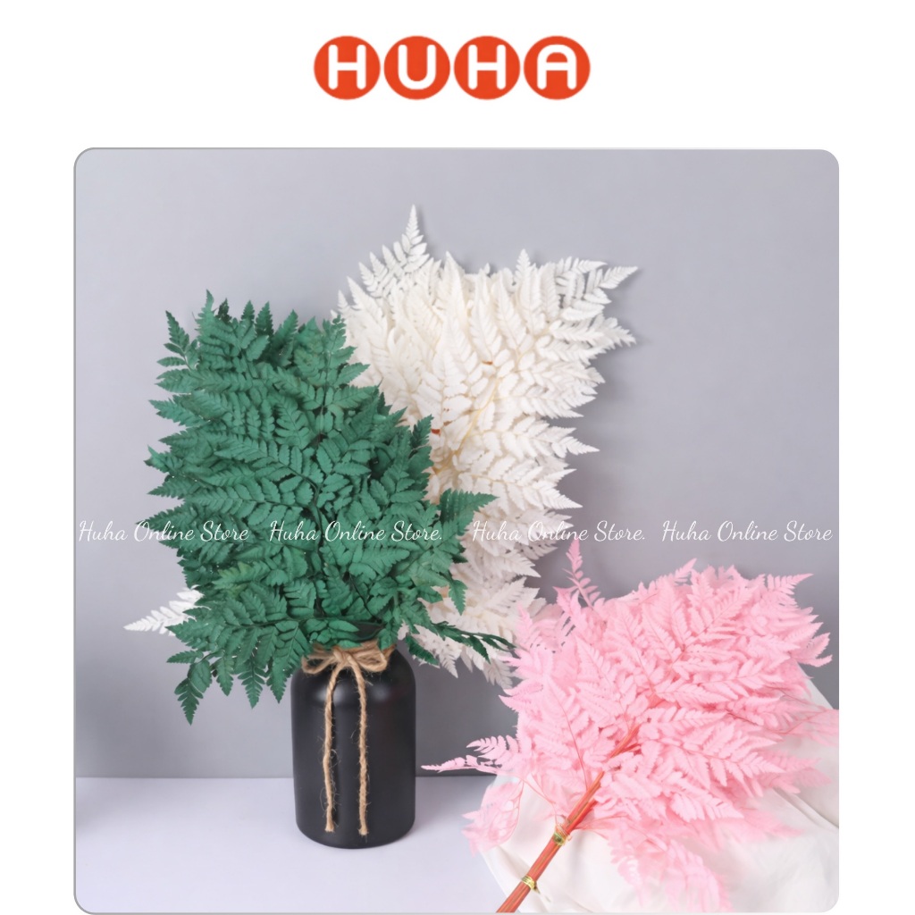LÁ DƯƠNG XỈ ƯỚP KHÔ DECOR, TRANG TRÍ, CHỤP ẢNH STUDIO (1 LÁ TO) hhh