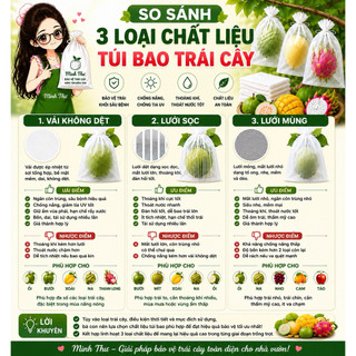 Túi bao trái ( 30x30 ) - 50 cái túi