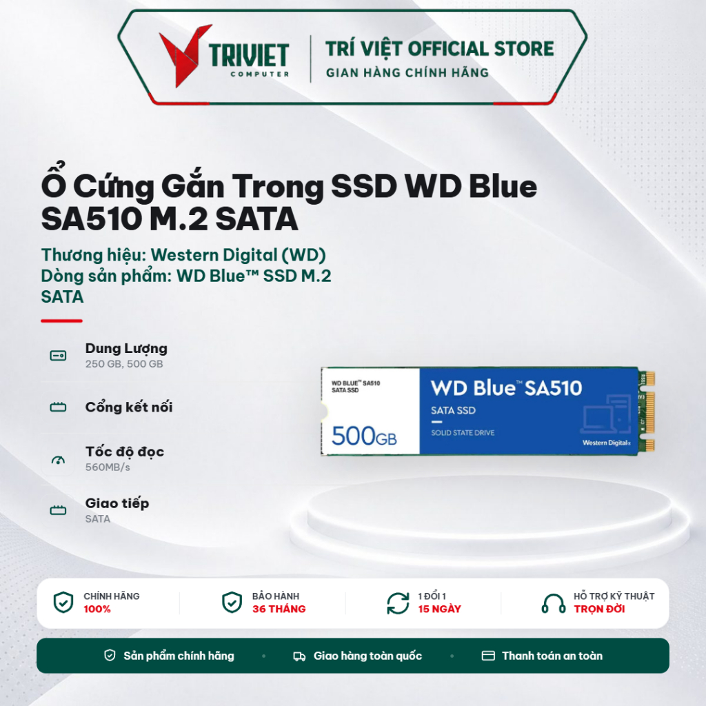 Ổ Cứng Gắn Trong SSD WD Blue SA510 M.2 SATA (250GB/500GB) – Read 560MB/s Write 510MB/s