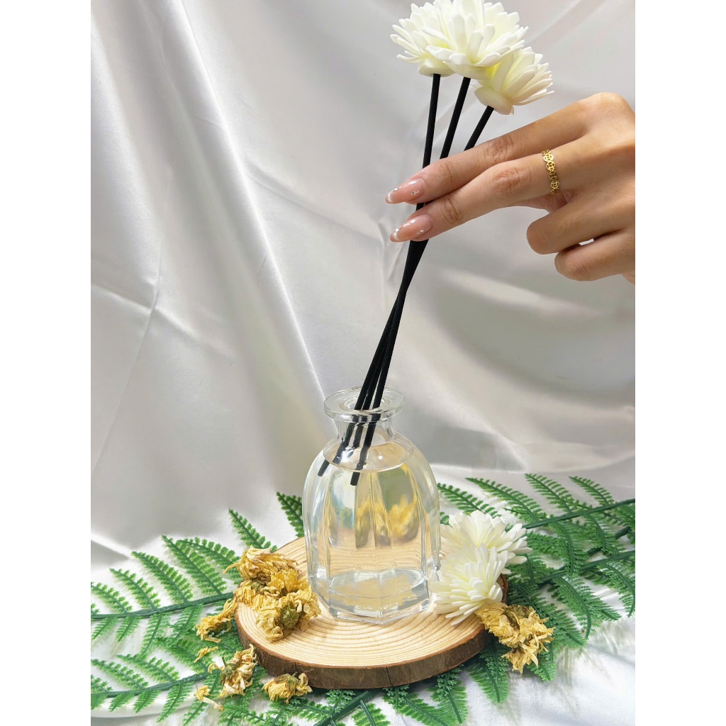Tinh Dầu Que Mây Tràm Trà 150ml | Hương Thảo Mộc Thanh Mát, Lưu Hương Lâu
