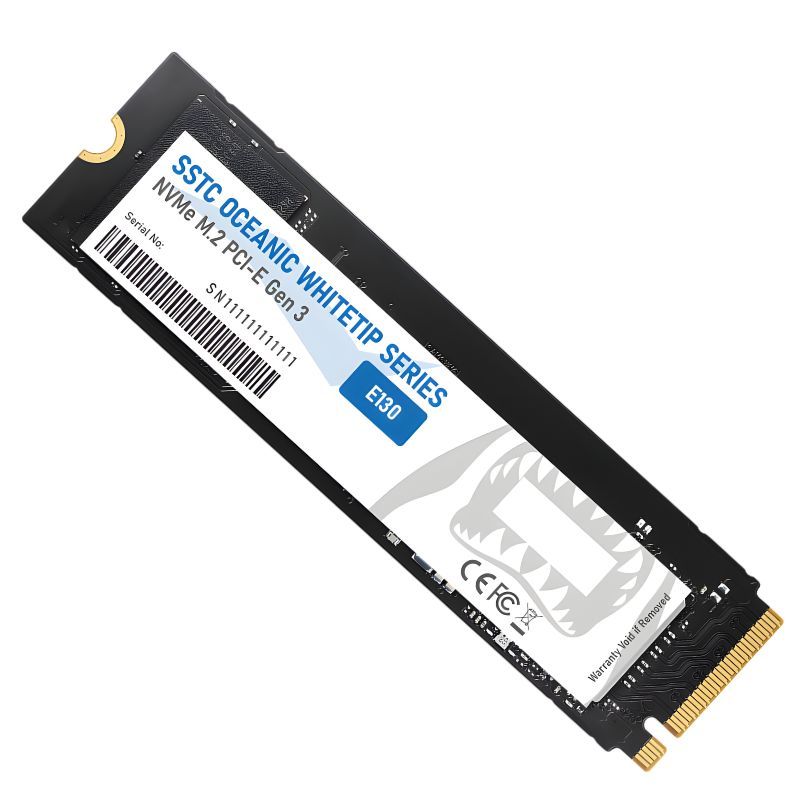 [FULL VAT] Ổ CỨNG SSD SSTC Oceanic Whitetip E130 512GB - NEW BẢO HÀNH 36 THÁNG | BigBuy360 - bigbuy360.vn