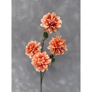 5 CÀNH HOA THƯỢC DƯỢC / CÚC MẪU ĐƠN 4 BÔNG CAO CẤP DECOR TRANG TRÍ 🌸
