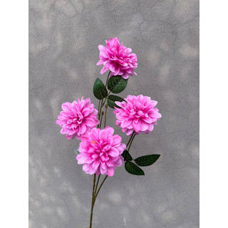 5 CÀNH HOA THƯỢC DƯỢC / CÚC MẪU ĐƠN 4 BÔNG CAO CẤP DECOR TRANG TRÍ 🌸