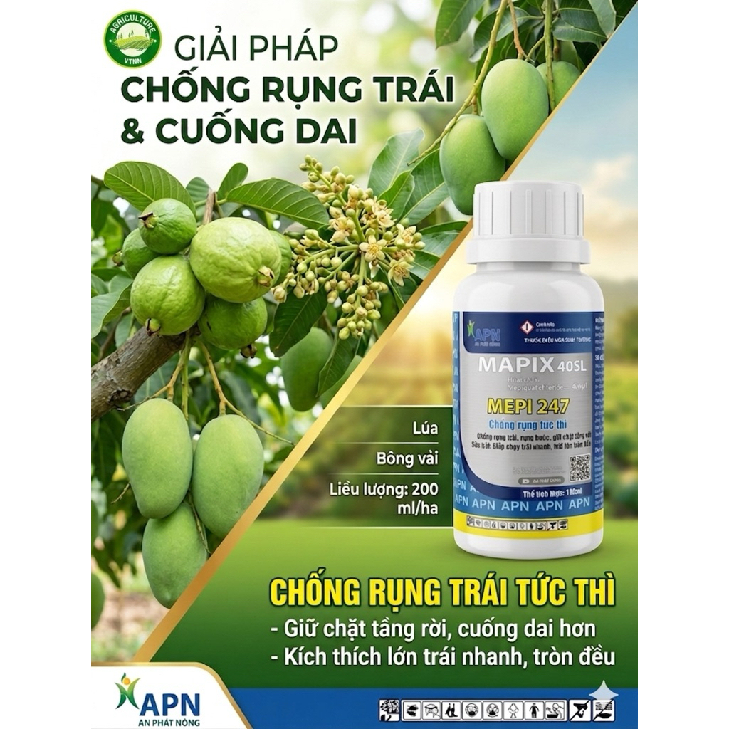MEPI 247 (MAPIX 40SL) – Giải Pháp Vàng Chống Rụng Tức Thì, Nuôi Trái Tròn Đều