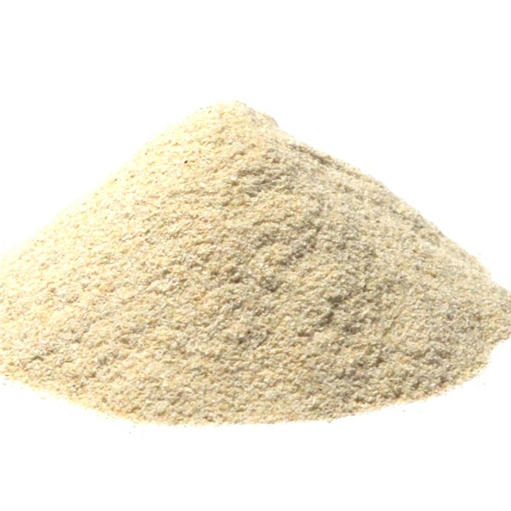 (chia túi zip) Bột Hành Onion Powder chia túi zip