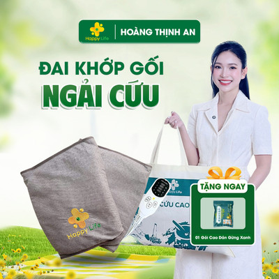 Đai Đầu Gối Ngải Cứu Hoàng Thịnh Cao Cấp Chính Hãng Happy Life