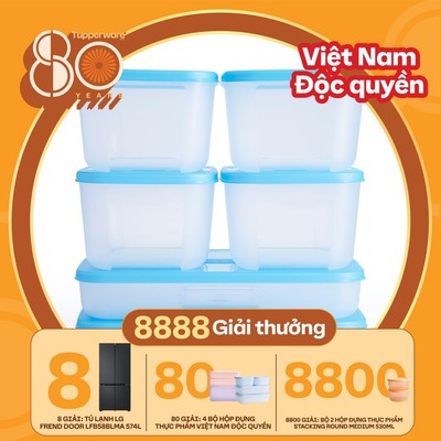 [Hỏa tốc HCM] Bộ hộp đựng thực phẩm Tupperware trữ đông đa dung tích
