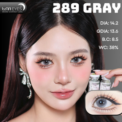 [6 tháng] Lens mắt FB-289 Gray màu xám có 2 light trắng đối xứng, size vừa - thương hiệu LUNA EYES