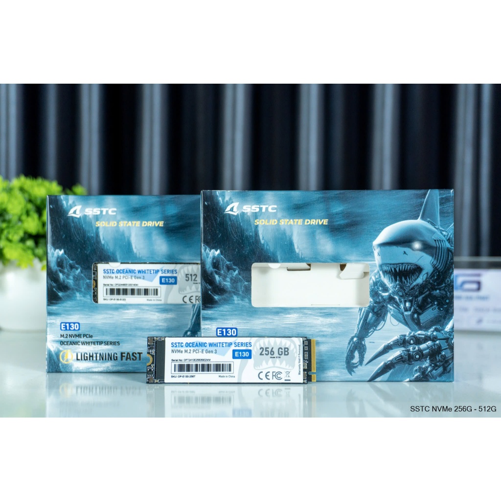 Ổ cứng SSD SSTC E130 256GB | PCIe Gen3 x4 NVMe, M.2 2280 - Ổ cứng SSD SSTC E130 512GB | PCIe Gen3 x4