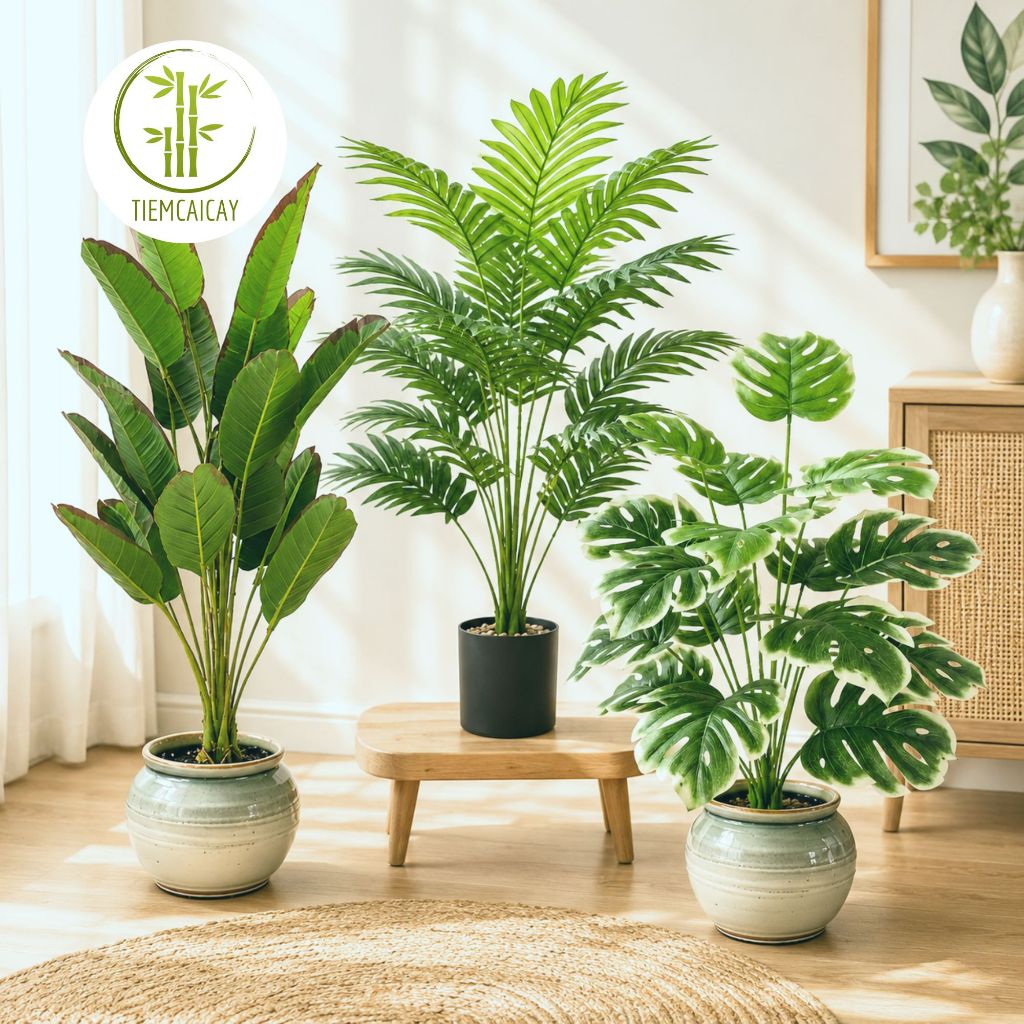 Cây Giả Trang Trí Cao Cấp Giống Thật Cao 65-85-120cm, Cây Trầu Bà, Cau, Chuối,Cọ Khoai Môn Decor Nhà