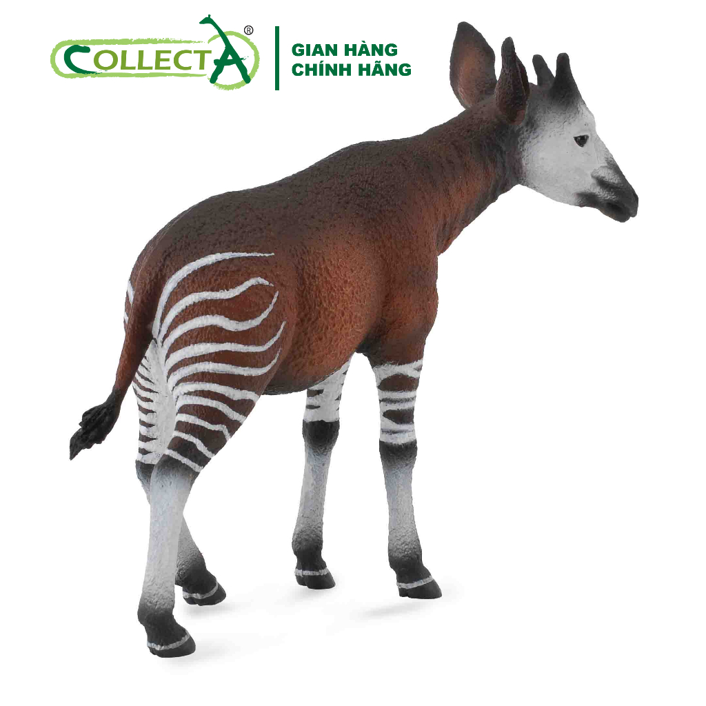 Mô hình động vật: Hươu đùi văn Okapi - Chính hãng CollectA