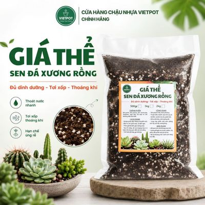Giá thể trồng sen đá xương rồng VIETPOT, Phối trộn sẵn, Tơi xốp, thoát nước tốt, thoáng khí cây khỏe