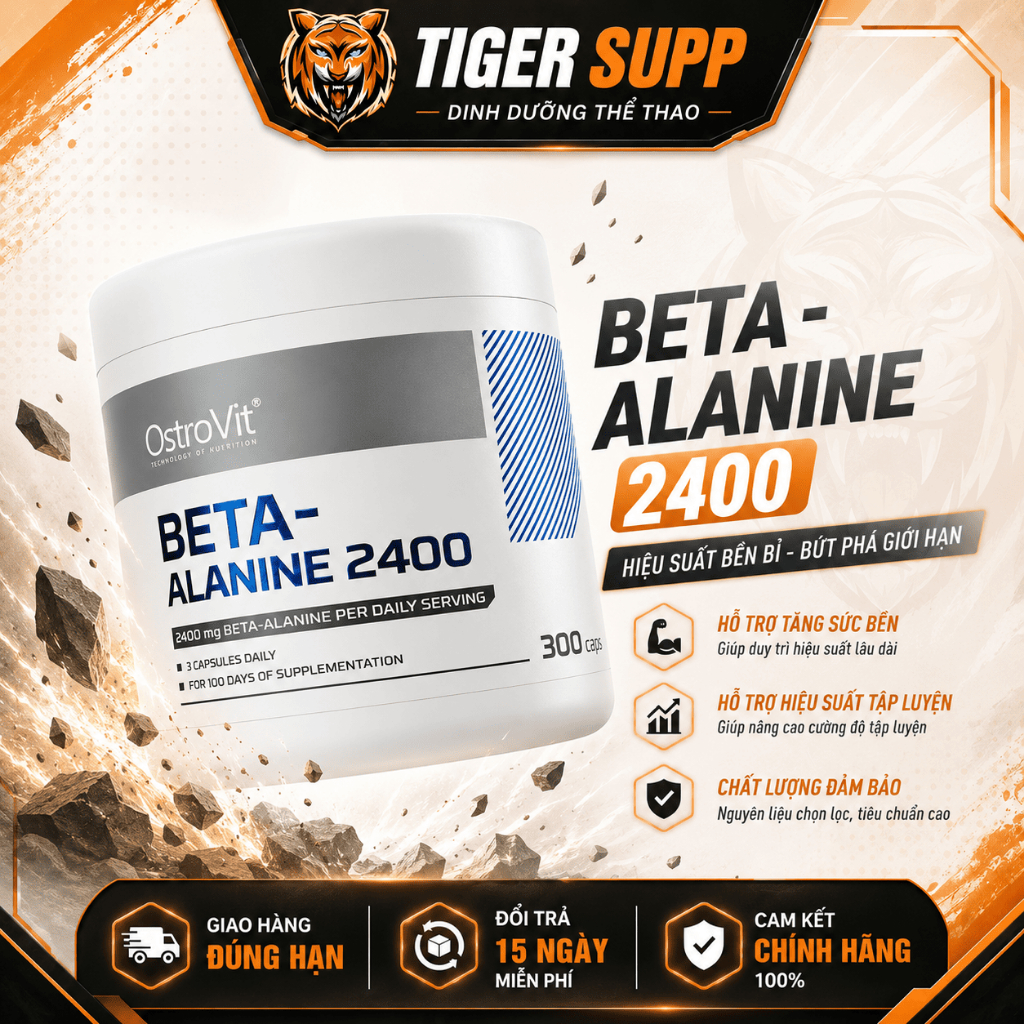 Beta Alanine 2400 OstroVit Dinh Dưỡng Thể Thao