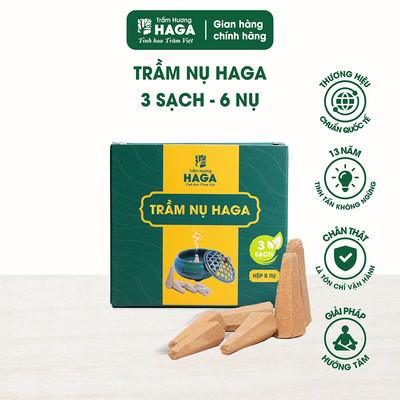 QUÀ TẶNG KHÔNG BÁN_ 6 Nụ trầm hương tự nhiên HAGA 3 sạch, xông nhà, đốt bàn thờ thu hút tài lộc