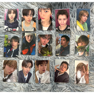 Photocard ảnh thẻ Cortis Green Green Chính hãng