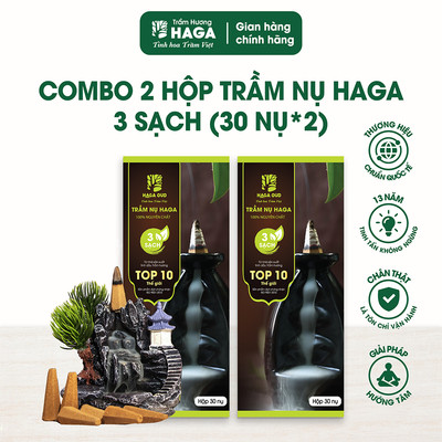 2 hộp nhang nụ trầm hương tự nhiên HAGA 3 SẠCH, xông nhà, đốt bàn thờ, thu hút tài lộc,30 nụ X2