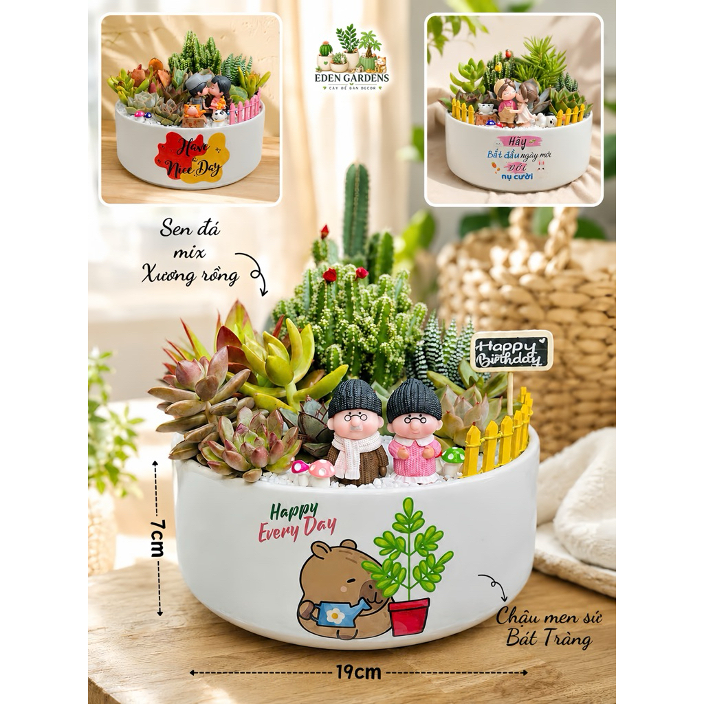 Chậu Sen đá Xương rồng EDEN Gardens decor Cặp đôi chậu sứ 19x7cm Quà tặng SINH NHẬT - KỶ NIỆM