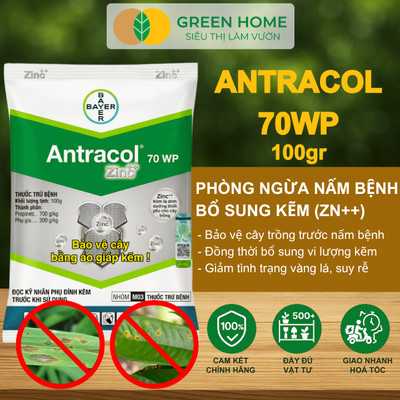 Chế Phẩm Trừ Bệnh Antracol 70WP GreenHome, Gói 100gr, Phòng Ngừa Nấm Bệnh Phổ Rộng Cho Cây Trồng