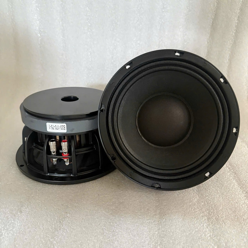 Loa bass 20 sườn nhôm từ 170, coil 75, nhập khẩu (1 cái)