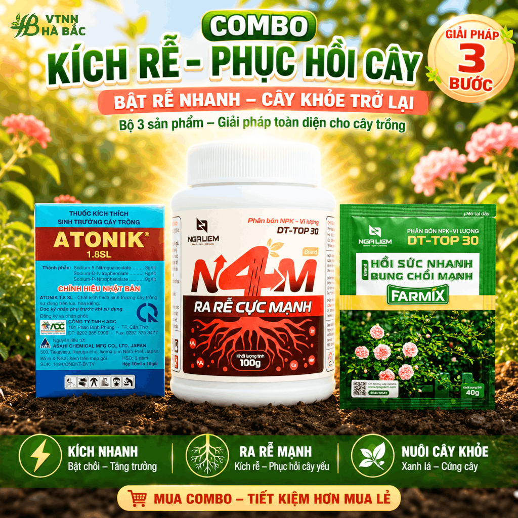 Combo 3 Bước Kích Rễ Phục Hồi Cây: Atonik Nhật Bản + Hũ N4M 100g + Farmix DT-TOP 30 Bật Chồi Nhanh