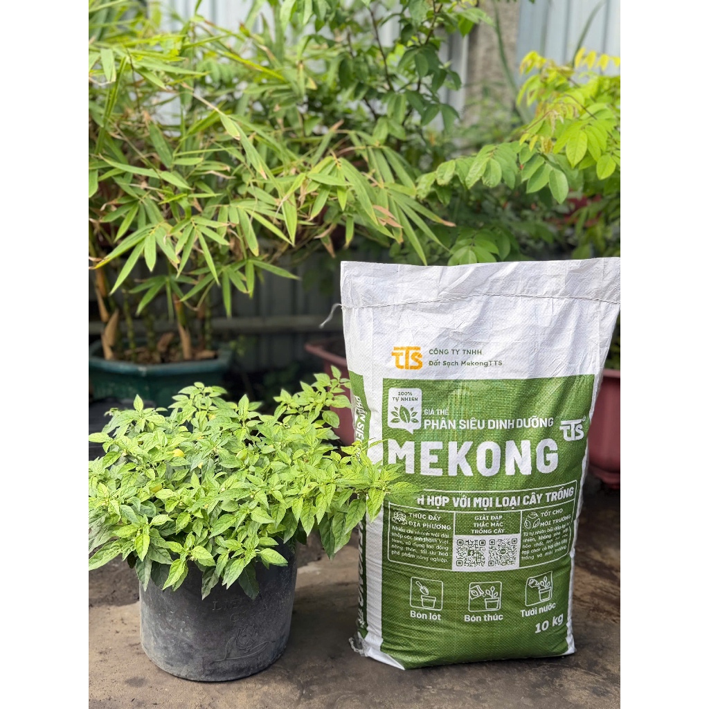 Phân Siêu Dinh Dưỡng Mekong TTS (bao 10kg) Giá thể dinh dưỡng thế hệ mới - Phân bón hữu cơ MEKONG