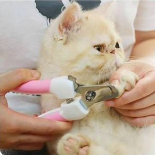 KÌM CẮT GIŨA Móng Dành Cho Chó Mèo
