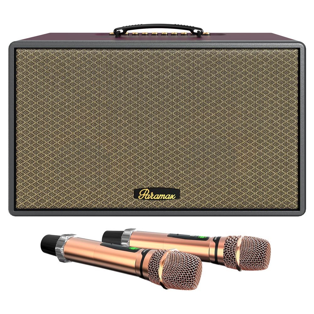 Loa Bluetooth PARAMAX Saga DSP Bluetooth 5.3 HDMI ARC Chống Hú Echo Reverb