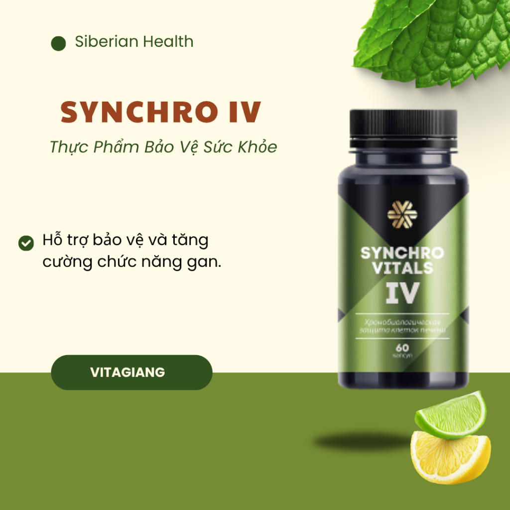 [Hỗ trợ gan]  Syn 4 - Thực phẩm bảo vệ sức khỏe Synchrovitals IV siberian – 60 viên TD88