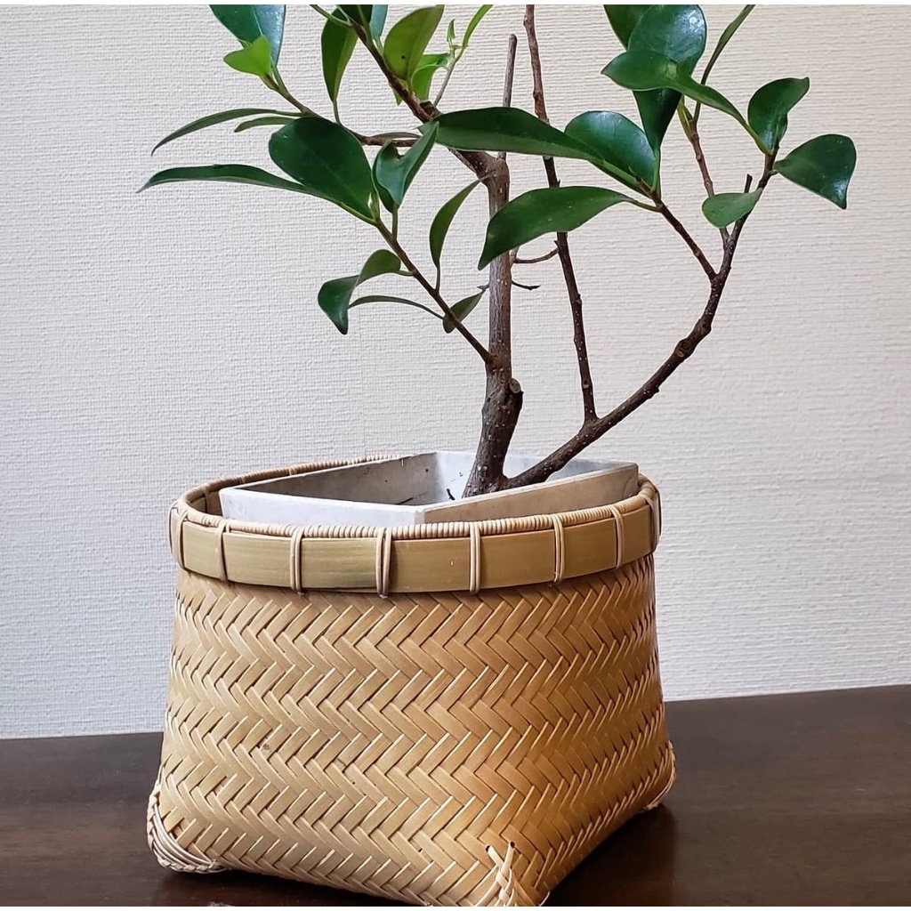 Sọt Tre Đan Nhỏ Dáng Vuông Miệng Tròn – Giỏ Tre Đựng Đồ Đa Năng Decor Không Gian Sống, Bọc Chậu Cây 