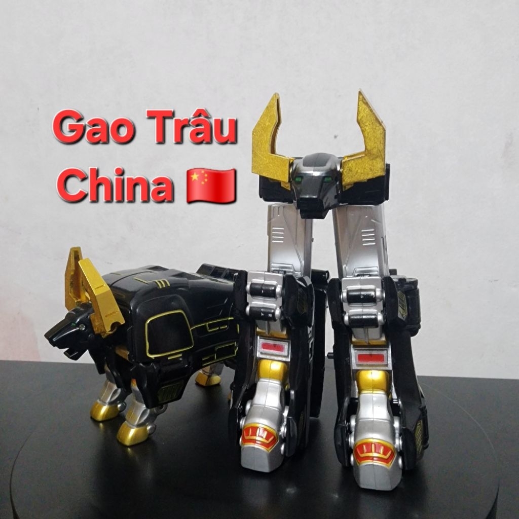 Gao trâu - gao bò china