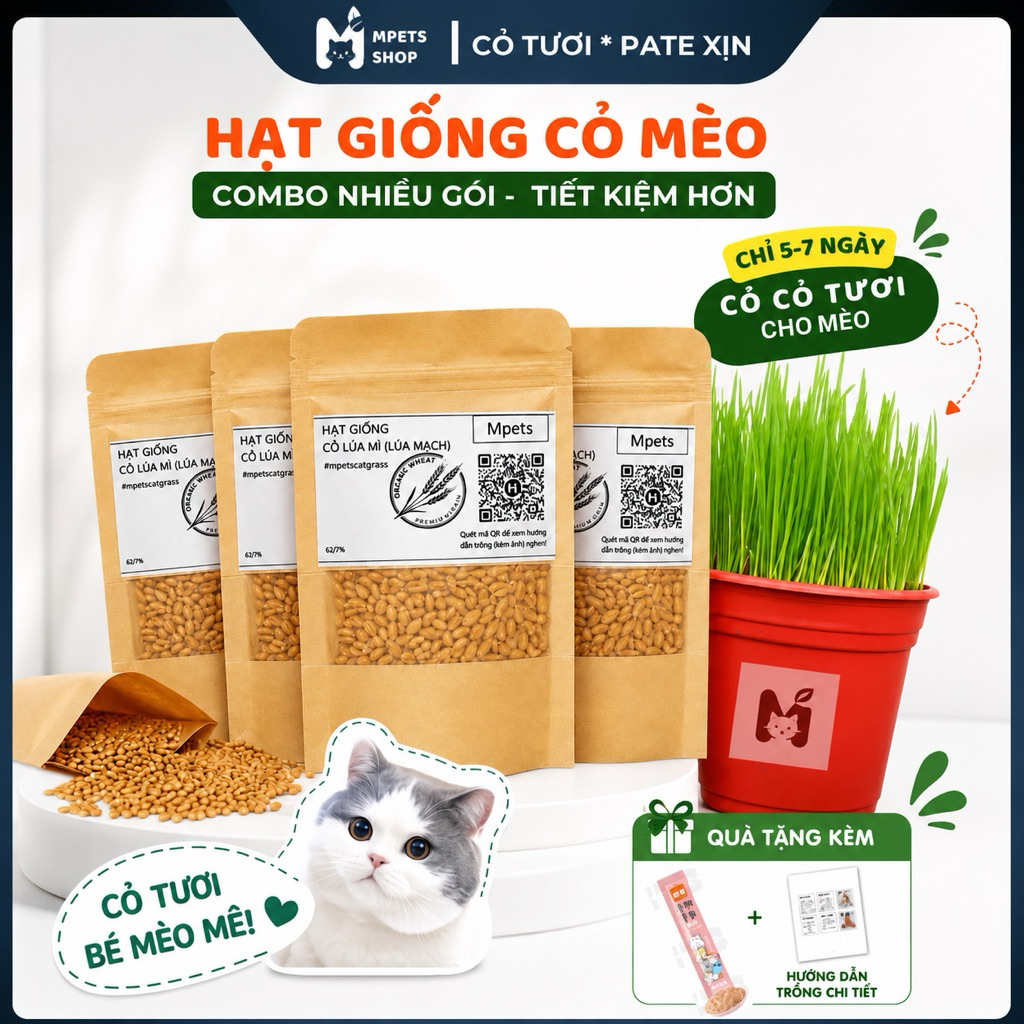 Hạt Giống Cỏ Lúa Mì (Mầm Lúa Mạch) • Cỏ Mèo Cao Cấp 80gr | mPETS