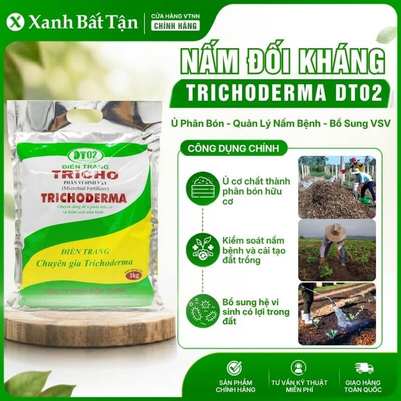 Trichoderma điền trang dt02, men ủ phân bón, rác nhà bếp, chế phẩm trừ nấm bệnh, xanh bất tận