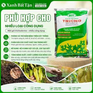 Nấm Đối Kháng Trichoderma Điền Trang Gói 500 Gram