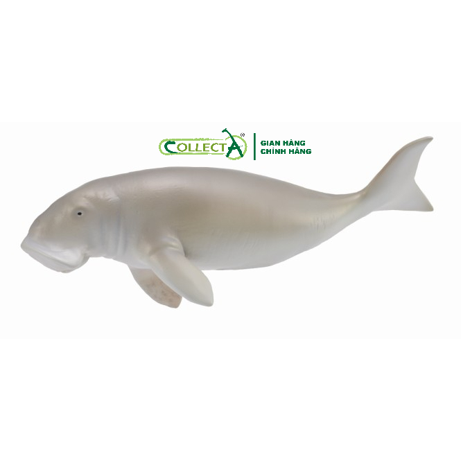 Mô hình động vật: Bò biển Dugong ( Chính hãng CollectA)