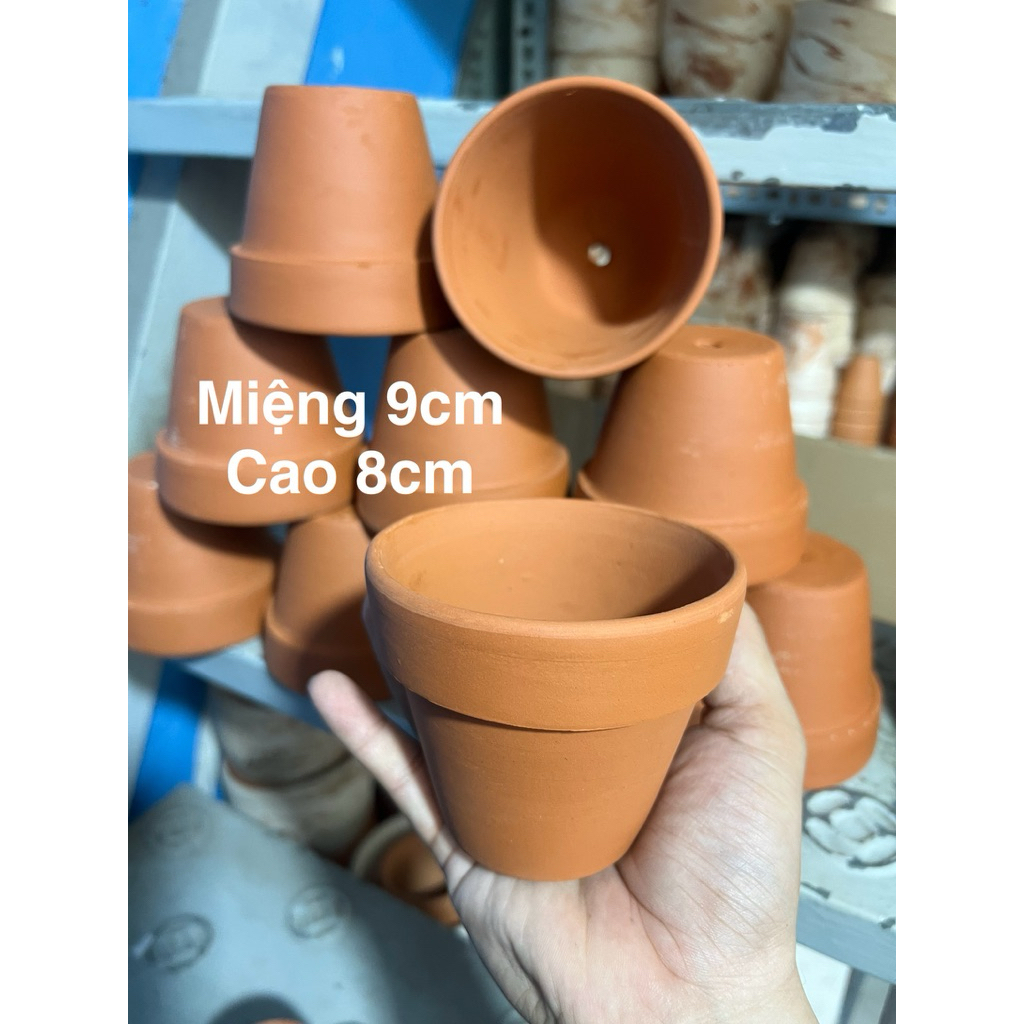 Chậu đất nung dáng cao 9x8cm và chậu đất nung miệng 9cm