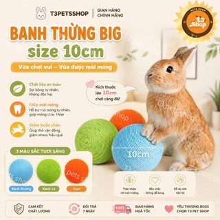 đồ chơi banh thừng dành cho thỏ và guinea pig - T3 PETS SHOP