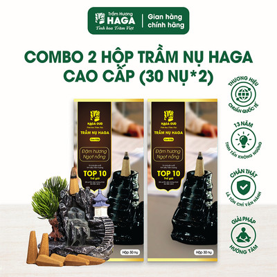 Combo 2 hộp nhang Nụ trầm hương HAGA CAO CẤP nguyên chất,xông nhà tẩy uế,đốt bàn thờ thu hút tài lộc