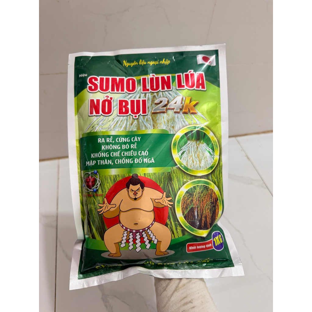 Sumo Lùn Lúa Nở Bụi 24k ra rễ nở bụi cứng cây túi 1kg