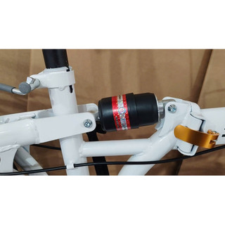 xe đạp gấp gọn SHIBOEMI 20 inch, vành đúc 5dao. xe có gacbaga,giỏ xe, chắn bùn thép như hình