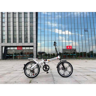 xe đạp gấp gọn SHIBOEMI 20 inch, vành đúc 5dao. xe có gacbaga,giỏ xe, chắn bùn thép như hình