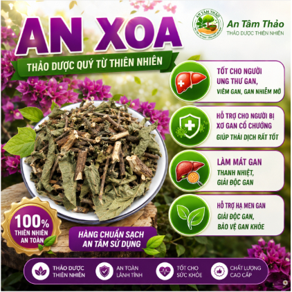 Cây An Xoa khô1kg, ( hàng vụ mới sao vàng hạ thổ),Thảo Mộc Khô Tự Nhiên – Mát Gan, Thanh Nhiệt, Hạ M