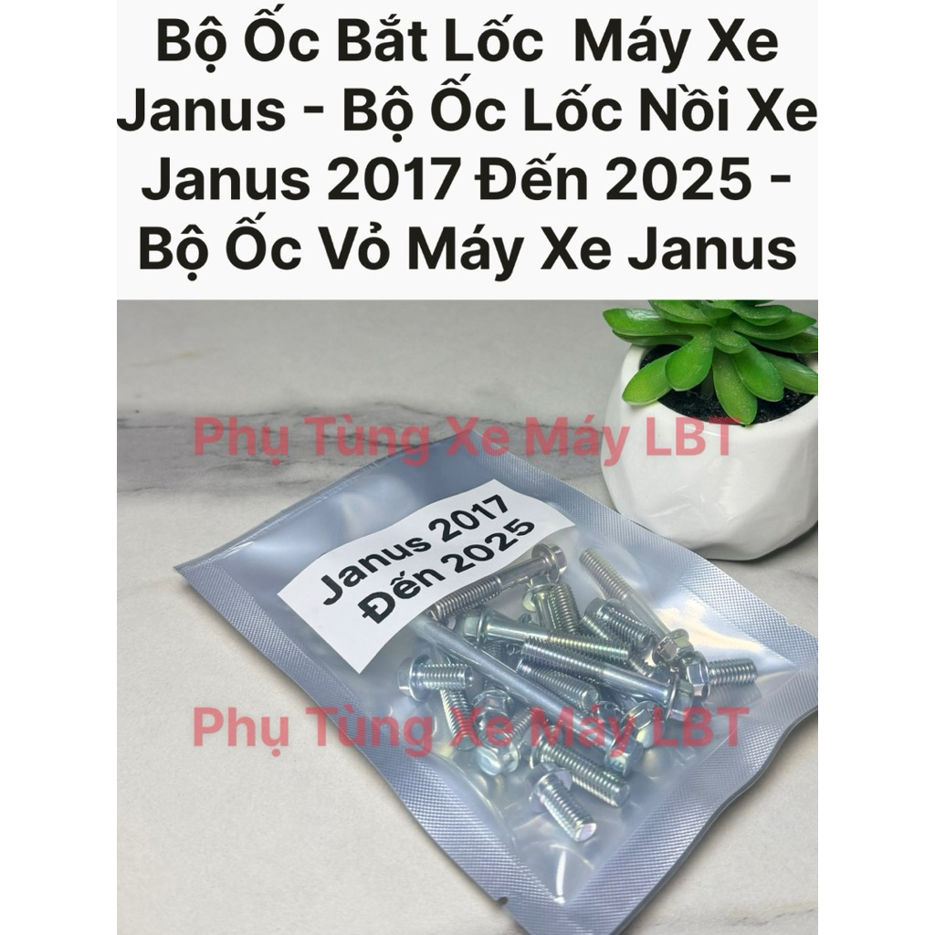 Bộ Ốc Bắt Lốc Máy Xe Janus - Bộ Ốc Lốc Nồi Xe Janus 2017 Đến 2025 - Bộ Ốc Vỏ Máy Xe Janus
