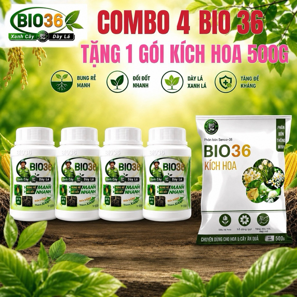 Combo 4 hộp Bio 36 tặng 1 gói kích hoa 500g. bio 36 kích rễ, bio 36 hàng chính hãng. kích rễ mạnh, đ