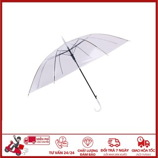 ⛔FREESHIP⛔ COMBO 10 Ô TRONG SUỐT CHỤP ẢNH, Ô TRONG SUỐT DECOR