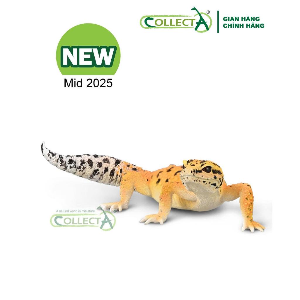 Mô hình động vật: Thằn lằn Leopard Gecko ( Chính hãng CollectA)