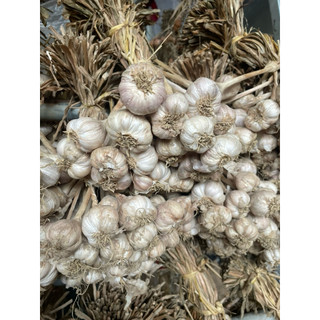 Tỏi Ta ,tỏi giống cũ ngày xưa siêu thơm ,siêu cay  1kg