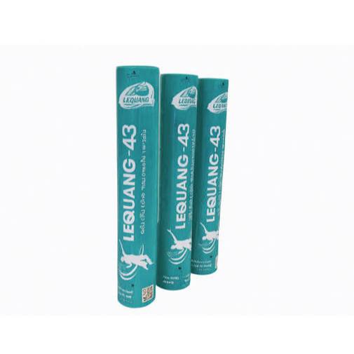 Ống Cầu Lông Lê Quang 43 ( VNB Sports )